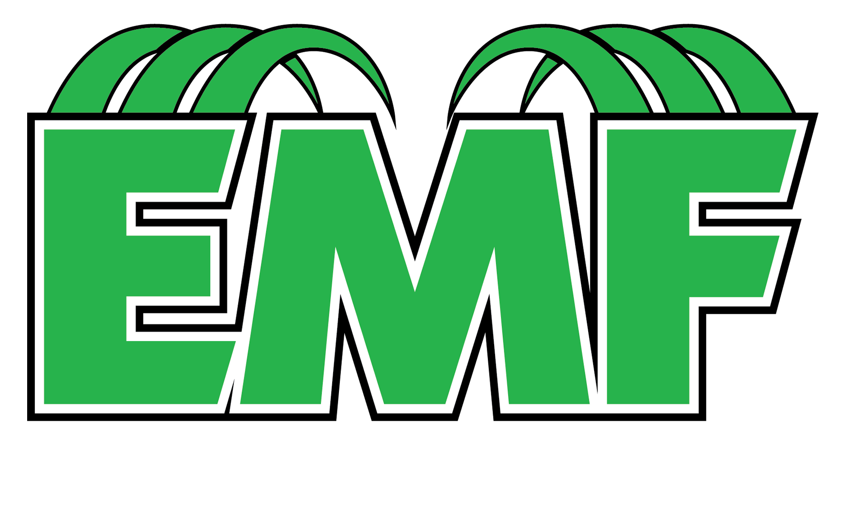 EMF Electric Machine & Fab LLC